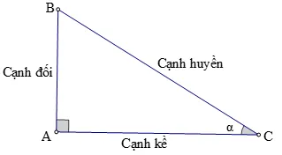 Giải Toán 9 Bài 2: Tỉ số lượng giác của góc nhọn