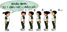 Giáo án Giáo dục thể chất 1 sách Cánh Diều (Cả năm)