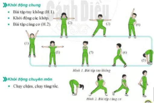 Giáo án Giáo dục thể chất 6 sách Cánh diều (Cả năm)