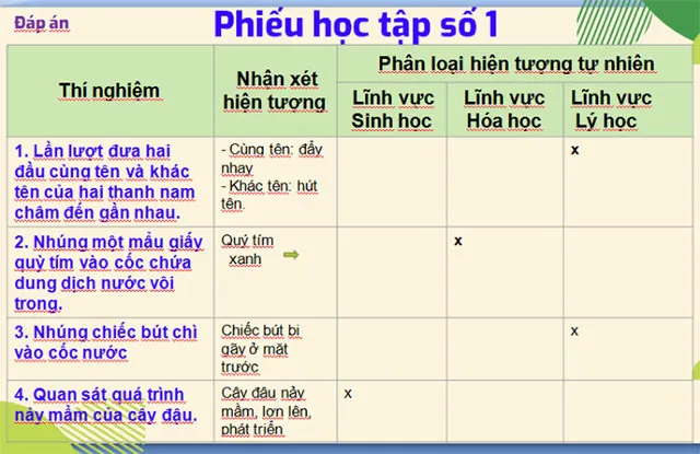 Giáo án môn Khoa học tự nhiên 6 (Sách mới)