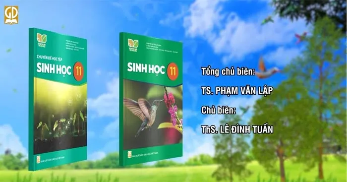 Giáo án Sinh học 11 sách Kết nối tri thức với cuộc sống