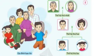 Giáo án Tự nhiên và xã hội lớp 2 (Sách mới)