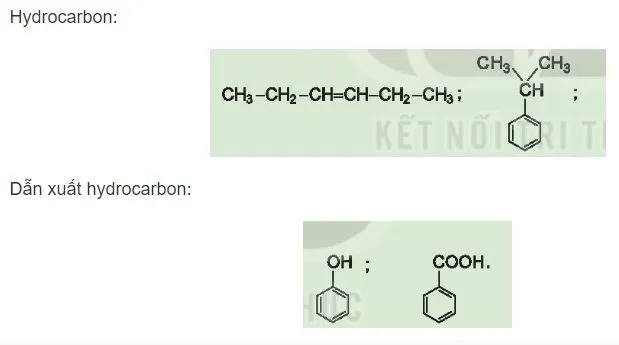 Hóa 11 Bài 10: Hợp chất hữu cơ và hóa học hữu cơ
