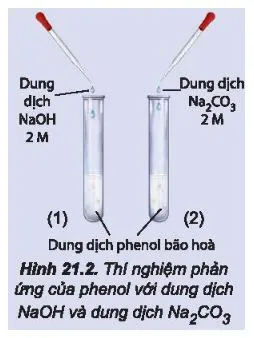 Hóa 11 Bài 21: Phenol