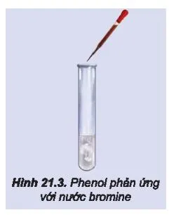 Hóa 11 Bài 21: Phenol