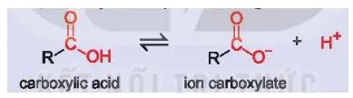 Hóa 11 Bài 24: Carboxylic acid