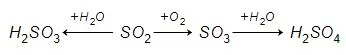 Hóa 11 Bài 5: Một số hợp chất quan trọng của nitrogen