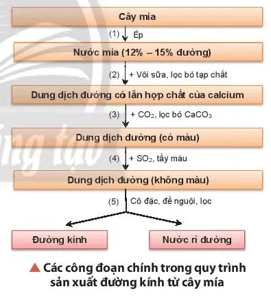 Hóa 11 Bài 9: Phương pháp tách và tinh chế hợp chất hữu cơ