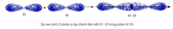 Hóa học 10 Bài 10: Liên kết cộng hóa trị