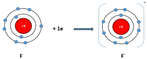 Hoá học 10 Bài 10: Quy tắc Octet