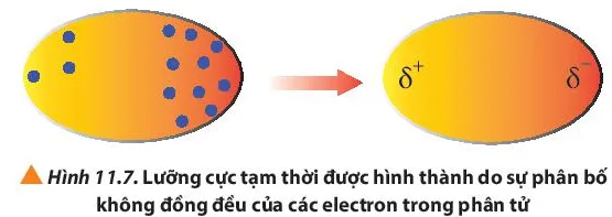 Hóa học 10 Bài 11: Liên kết hydrogen và tương tác Van der Waals