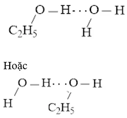 Hóa học 10 Bài 11: Liên kết hydrogen và tương tác Van der Waals