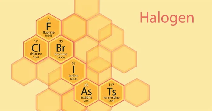 Hóa học 10 Bài 21: Nhóm halogen