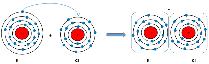 Hóa học 10 Bài 8: Quy tắc Octet