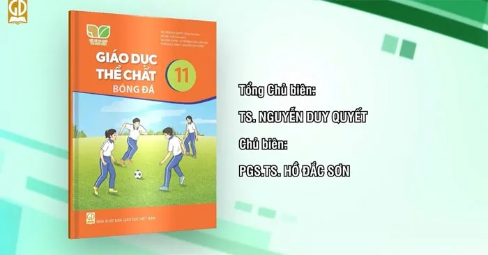 Kế hoạch dạy học môn Giáo dục thể chất 11 sách Kết nối tri thức với cuộc sống