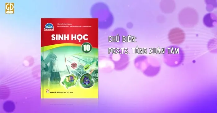 Kế hoạch dạy học môn Sinh học 10 sách Chân trời sáng tạo