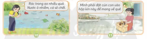 Khoa học lớp 4 Bài 17: Chăm sóc cây trồng và vật nuôi