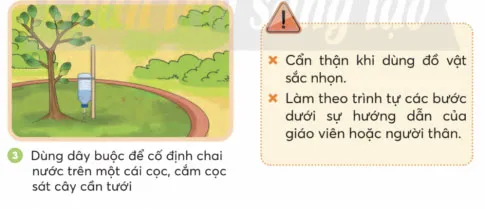 Khoa học lớp 4 Bài 18: Ôn tập chủ đề Thực vật và động vật