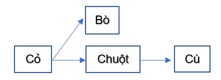 Khoa học lớp 4 Bài 23: Vai trò của thực vật trong chuỗi thức ăn