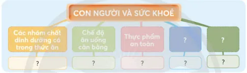 Khoa học lớp 4 Bài 29: Ôn tập chủ đề Con người và sức khỏe