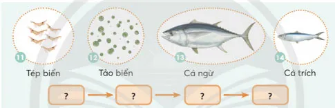 Khoa học lớp 4 Bài 30: Chuỗi thức ăn trong tự nhiên