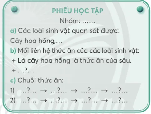 Khoa học lớp 4 Bài 30: Chuỗi thức ăn trong tự nhiên