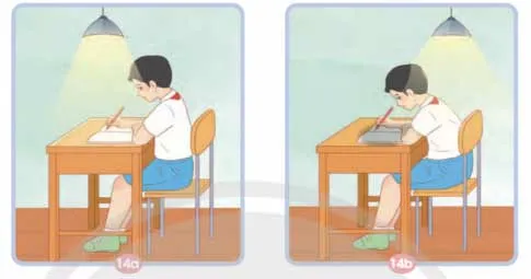 Khoa học lớp 4 Bài 9: Ánh sáng với đời sống