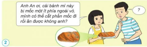 Khoa học lớp 4 Ôn tập chủ đề Nấm