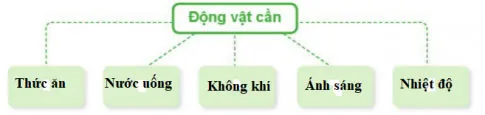 Khoa học lớp 4 Ôn tập chủ đề Thực vật và động vật