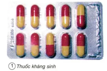 Khoa học lớp 5 Bài 11: Dùng thuốc an toàn