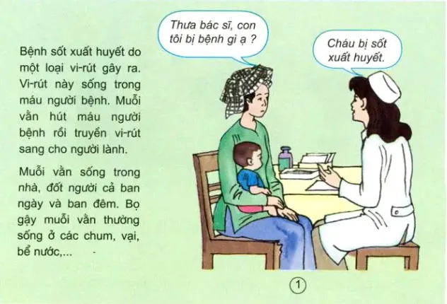 Khoa học lớp 5 Bài 13: Phòng bệnh sốt xuất huyết