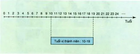 Khoa học lớp 5 Bài 20-21: Ôn tập: Con người và sức khỏe