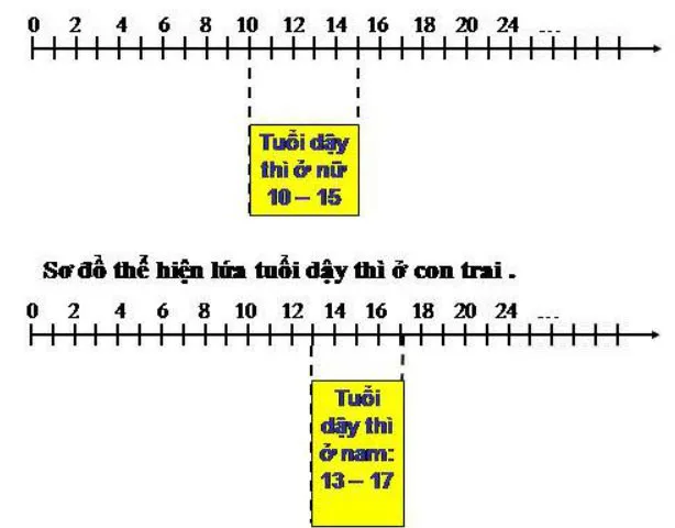 Khoa học lớp 5 Bài 20-21: Ôn tập: Con người và sức khỏe