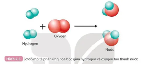 KHTN 8 Bài 2: Phản ứng hóa học