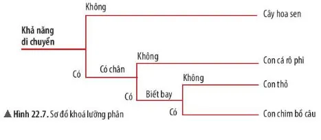 KHTN Lớp 6 Bài 22: Phân loại thế giới sống