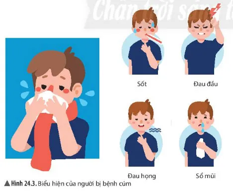 KHTN Lớp 6 Bài 24: Virus