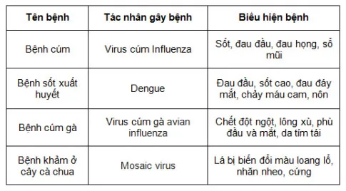 KHTN Lớp 6 Bài 24: Virus