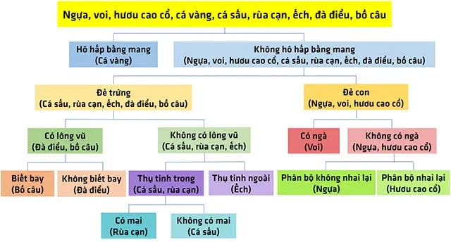 KHTN Lớp 6 Bài 32: Thực hành quan sát và phân loại thực vật ngoài thiên nhiên