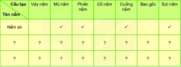 KHTN Lớp 6 Bài 33: Thực hành: Quan sát các loại nấm