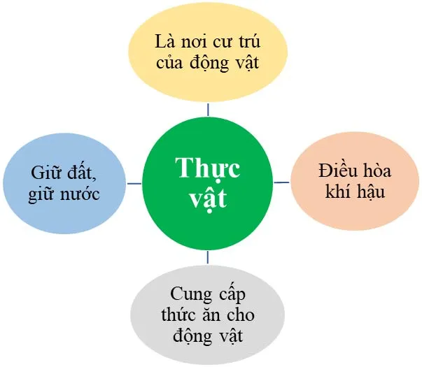 KHTN Lớp 6 Bài 34: Tìm hiểu sinh vật ngoài thiên nhiên