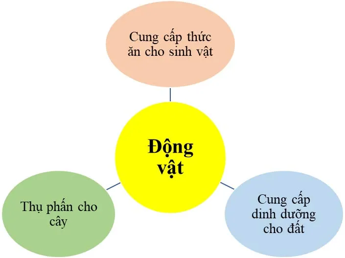 KHTN Lớp 6 Bài 34: Tìm hiểu sinh vật ngoài thiên nhiên