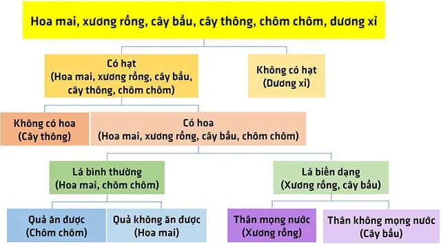 KHTN Lớp 6 Bài 34: Tìm hiểu sinh vật ngoài thiên nhiên