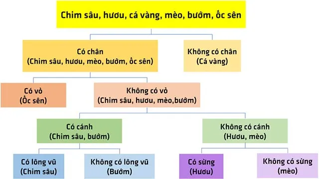 KHTN Lớp 6 Bài 34: Tìm hiểu sinh vật ngoài thiên nhiên