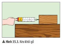 KHTN Lớp 6 Bài 35: Lực và biểu diễn lực