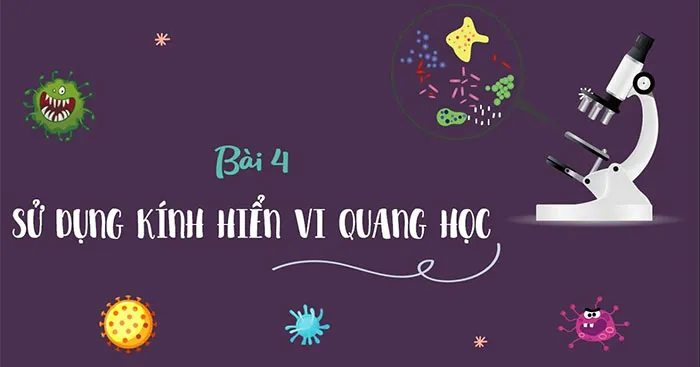 KHTN Lớp 6 Bài 4: Sử dụng kính hiển vi quang học