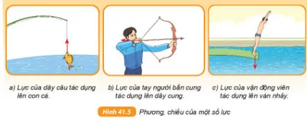 KHTN Lớp 6 Bài 41: Biểu diễn lực