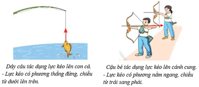 KHTN Lớp 6 Bài 41: Biểu diễn lực