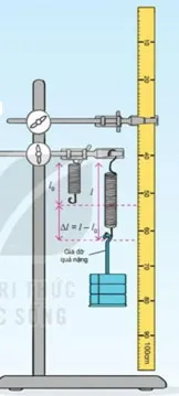 KHTN Lớp 6 Bài 42: Biến dạng của lò xo