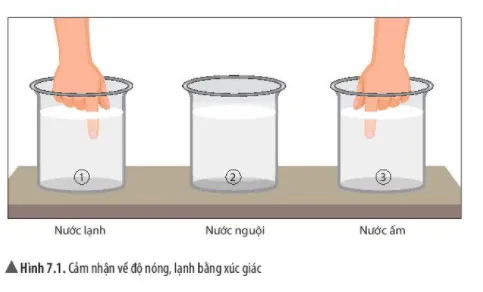 KHTN Lớp 6 Bài 7: Thang nhiệt độ Celsius. Đo nhiệt độ