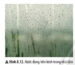 KHTN Lớp 6 Bài 8: Sự đa dạng và các thể cơ bản của chất. Tính chất của chất